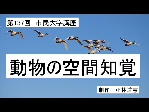 地域科学課程 動物の空間知覚