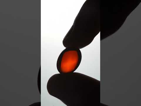 Krill, un suplemento para tu corazón