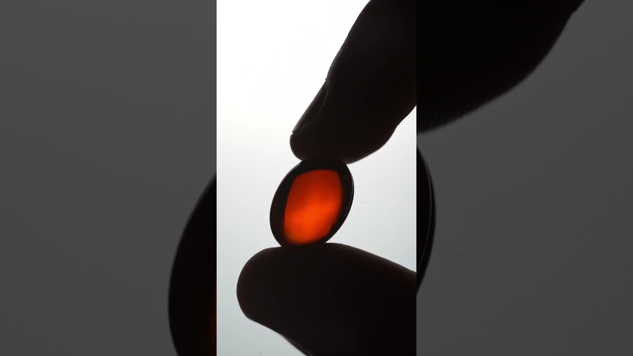 Krill, un suplemento para tu corazón