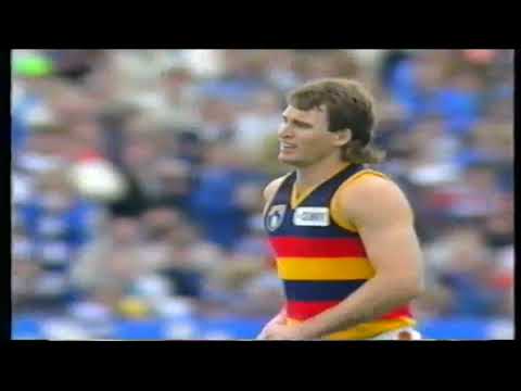 Round 11 Adelaide Crows Vs Geelong Cats 1991