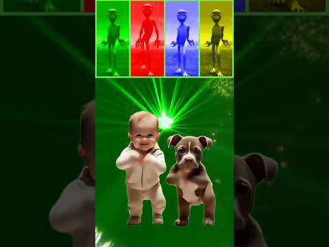 Dame Tu Cosita FULL HD | All Variation Dame Tu Cosita Music Video 2024