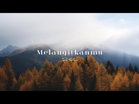 Tyok Satrio - Melangitkanmu (Official Visualizer Lyric Video)