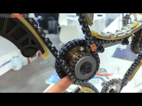 Timing Chain Setup: Sprocket Stretching, Common Wear Signs & Diagram Overview