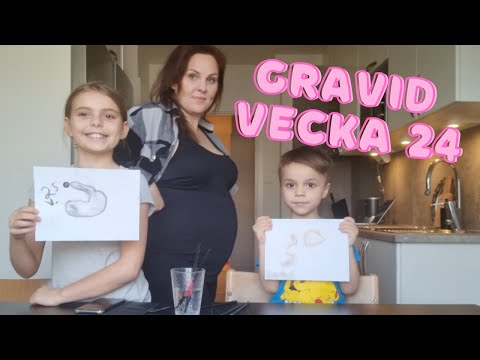 Gravid i vecka 24