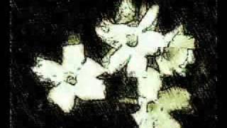 CONFIAR EN ALGUIEN - AMARAL