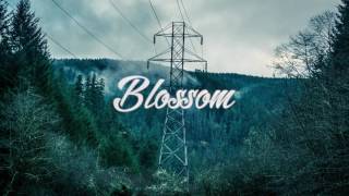Alison Wonderland - Run (Nathan Asher Remix)