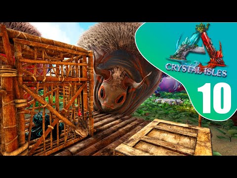 PRANKER ZAGI! - DANSK ARK