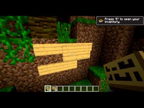 Minecraft: Trials and Tribulations in Sign Optimization