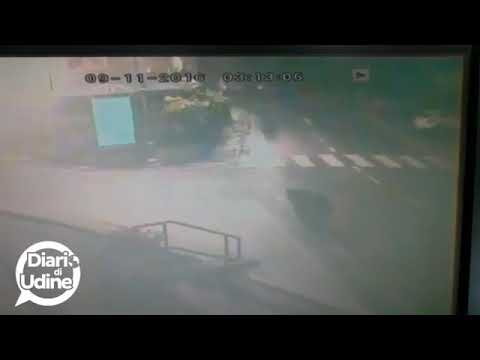 Orso filmato nel centro di Tarvisio