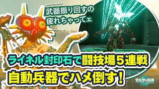 【ティアキン】封印石と自動兵器でライネル5連戦ハメ倒す！ゼルダの伝説 ティアーズ オブ ザ キングダム ゼルダの伝説 TearsOfTheKingdom  Zelda 【Switch】