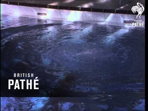 Beverly Williams  Beverley Williams (1970-1979)