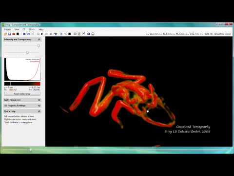Computertomografie - Frogscan
