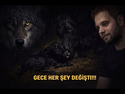 GECE ÇÖKÜNCE ÇIFTLIKTE NE OLDU? İLK DOĞUM ANINA ŞAHIT OLDUK