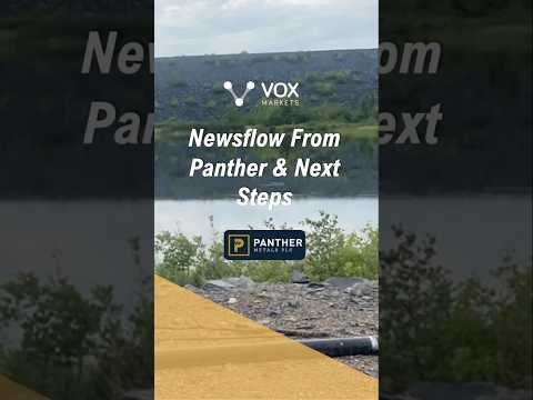 Newsflow from Panther Metals and next steps