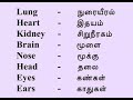 HUMAN BODY PARTS IN TAMIL