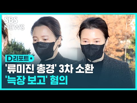 류미진 3차 소환…이임재 영장 재신청 예정 / SBS / #D리포트