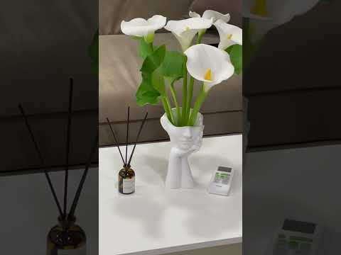 Гостевой дом ул. Студенческая, 14 - Сухум, ул. Студенческая, 14 видео