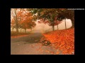 Autumn leaves - Eva Cassidy instrumental 