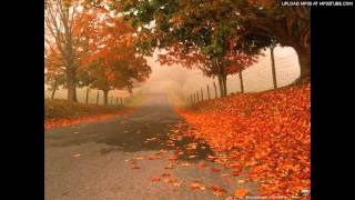 Autumn leaves - Eva Cassidy instrumental