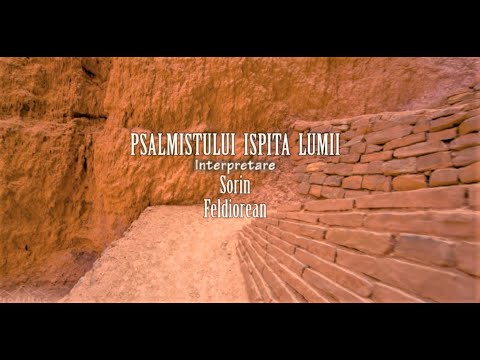 Sorin Feldiorean - PSALMISTULUI ISPITA LUMII