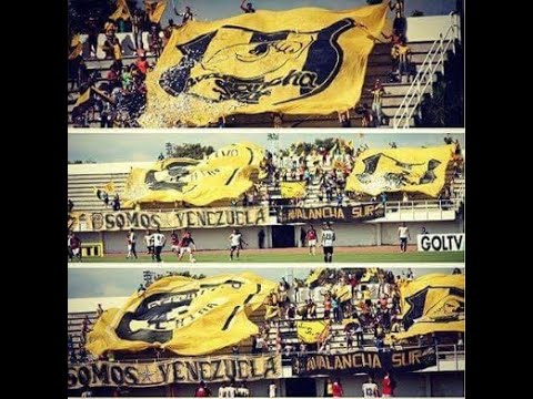 "Presentes en cualquier cancha (Araure) //AVALANCHA SUR 1997" Barra: Avalancha Sur &bull; Club: Deportivo Táchira