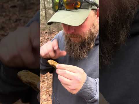 Chicken wings rock! #chickenwings #rock #springbreak #roadtrip #explore