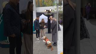 Download lagu 🇭🇰 So cute pup Taikoo Place Hong Kong✨️💖🫰 #shorts mp3