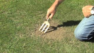 Fix Patches in Your Lawn