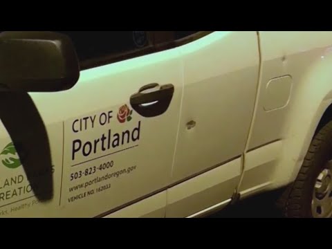 Ex-Park Ranger: No leadership in Portland over gun violence