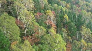 preview picture of video '秋のロープウェイ Ropeway in autumn'