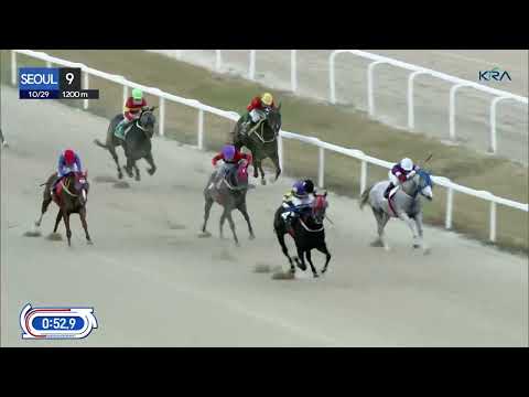 (Seoul) 2022.10.29 R9