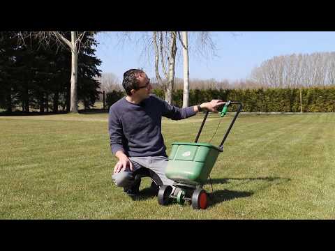 Der perfekte Rasen – richtig düngen