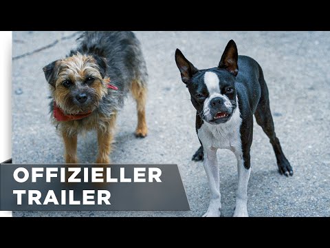 Trailer-Vorschau: Doggy Style