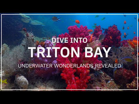 Dive Into Triton Bay:  Underwater Wonderlands Revealed | Indonesia | 4K HDR | 2024