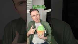 ranking the key lime pie plushes 🍋‍🟩🥧