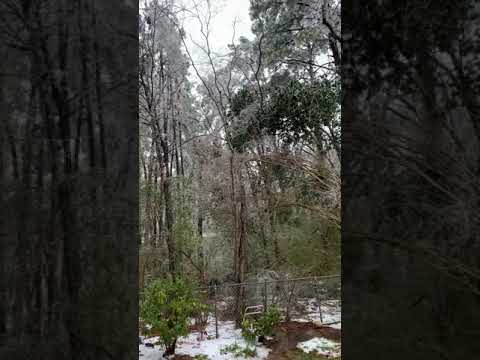 Louisiana ice storm 2021