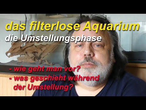 Das filterlose Aquarium. Anleitung zum Umstieg zum filterlosen Aquarium. Was geschieht dabei?