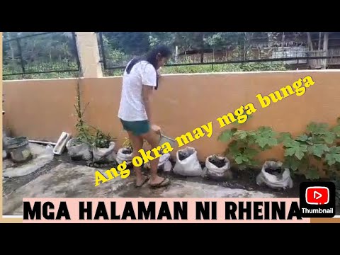 MGA HALAMAN NI RHEINA 