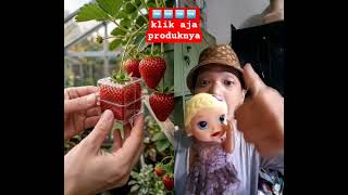 SQUARE STRAWBERRY FRUIT⁉️LIKE THIS VIDEO #shorts #shortvideo #babyalive 
