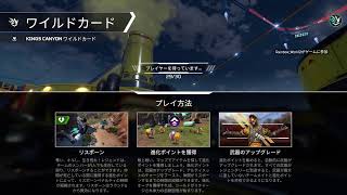 エーペックスやりますか