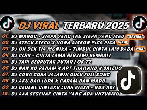 DJ TIKTOK TERBARU 2025 - DJ MANGU - SIAPA YANG TAU SIAPA YANG MAU🎵DJ STECU STECU X PICA PICA🎵FULL