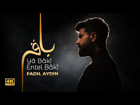 YA BAKİ ENTEL BAKİ | FADIL AYDIN