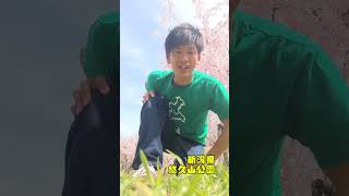 #松阪牛 #三重県 #sakura #新潟県 #桜 #挨拶 #shorts