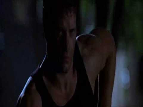 The Punisher MV - The Night