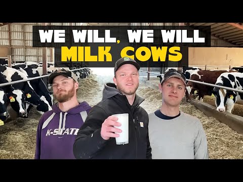 We Will Milk Cows (We Will Rock You Parody)