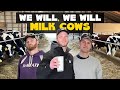 We Will Milk Cows We Will Rock You Parody