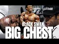 Chest Training to win the side chest pose! Chris Cormier style! Episode 5 of the 