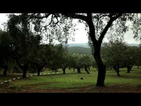 A lenda dos Cinco Jotas