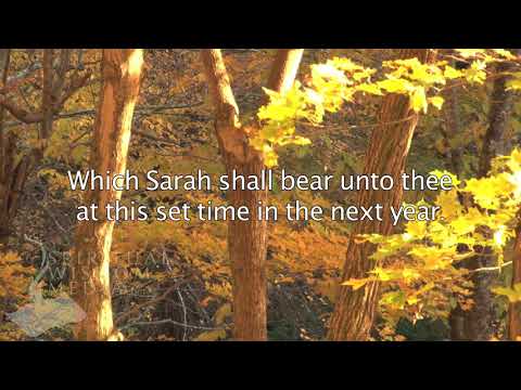 Genesis 17:21 - But my covenant will I establish with Isaac, which Sarah shall bear - Bible Verses