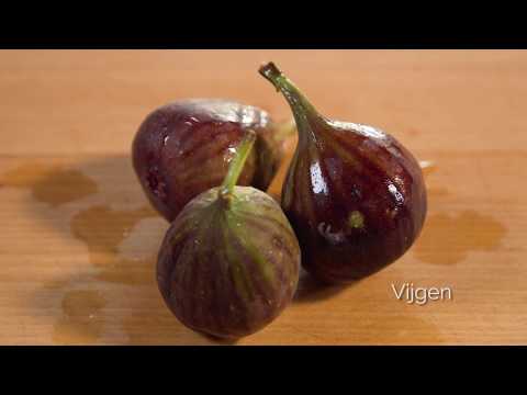 download lagu mp3 mp4 Vijgen, download lagu Vijgen gratis, unduh video klip Vijgen